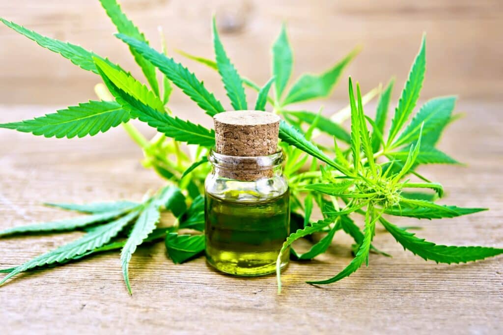 CBD oil