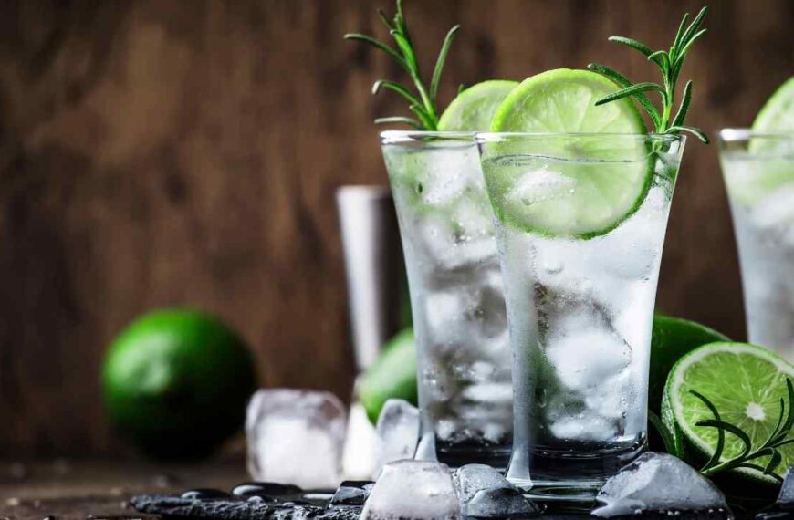 How To Make A Gin and Tonic