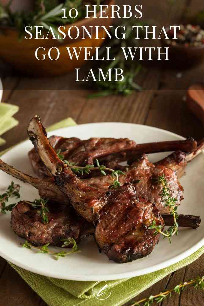 https://lifetimevibes.com/wp-content/uploads/2020/08/Lamb-seasoning.jpg