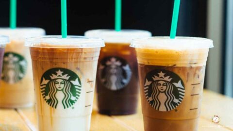 Fall Starbucks drinks - Life Time Vibes